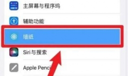 ipad动态壁纸怎么设置