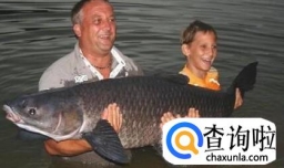 怎么钓青鱼容易让鱼上钩