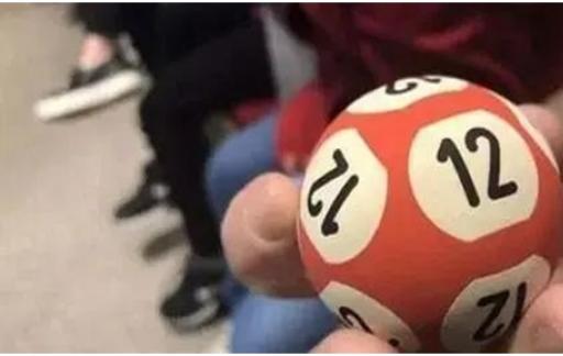 彩票人工计划软件有哪些br