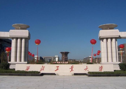 美术生可以考什么大学