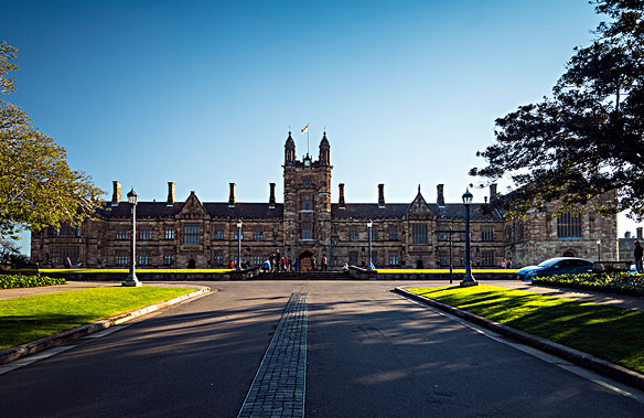 本科是什么意思