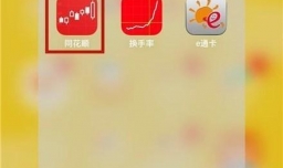 查看上市公司的财务报表