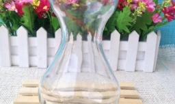 水培风信子步骤