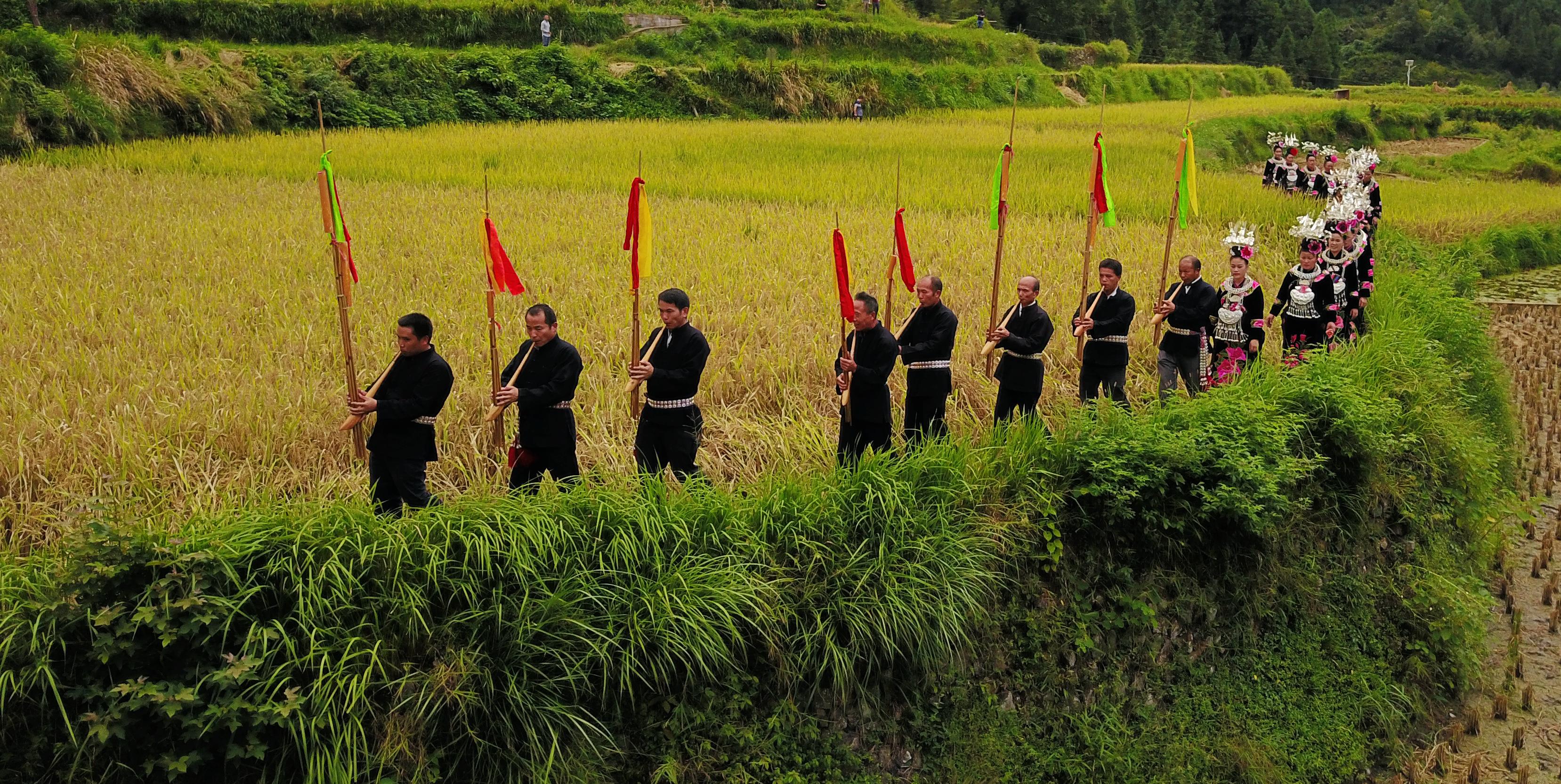 丰收节是哪个民族的节日