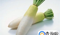 萝卜不能同什么一起吃？