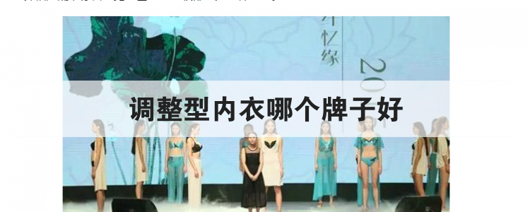调整型内衣哪个牌子好