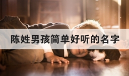 陈姓男孩简单好听的名字