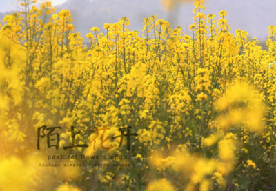 陌上花开什么意思