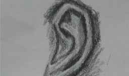 明暗表现速写耳朵的画法