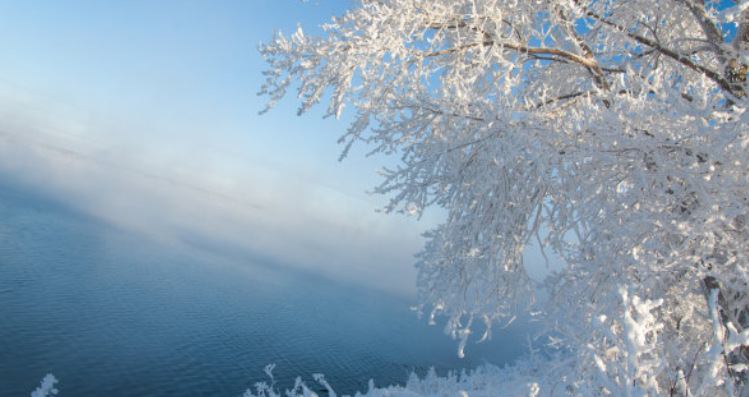 描写冬天景色的优美句子