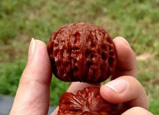 文玩核桃里的虫卵怎么去除