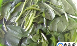 瘦肉菠菜的做法