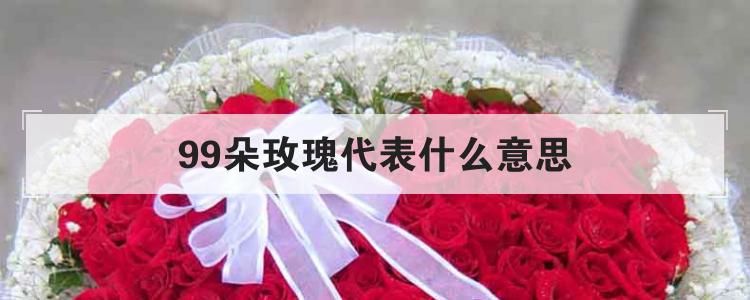 99朵玫瑰代表什么意思