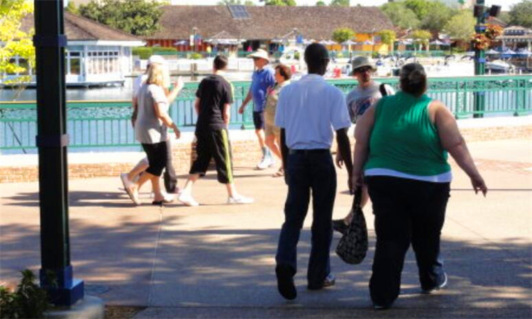 为什么走路多反倒胖了