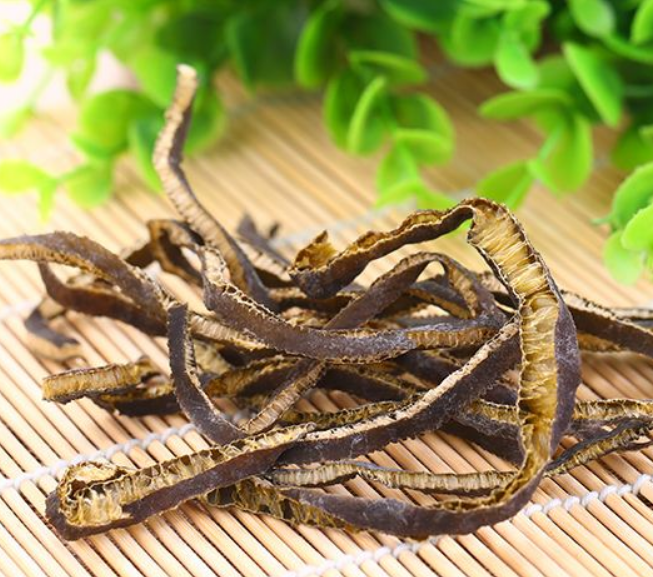 海茸的功效与禁忌