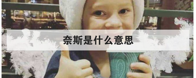 奈斯是什么意思