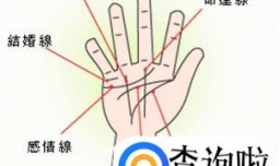 教你看手纹识手相