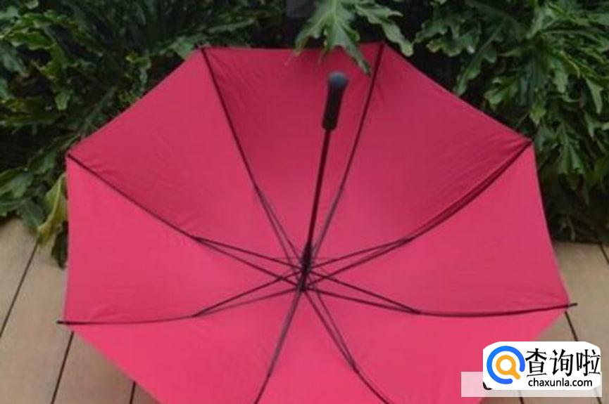 伞布上的锈迹怎么去除