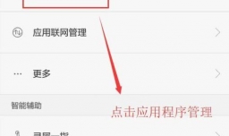 怎么打开安卓录屏大师录制权限