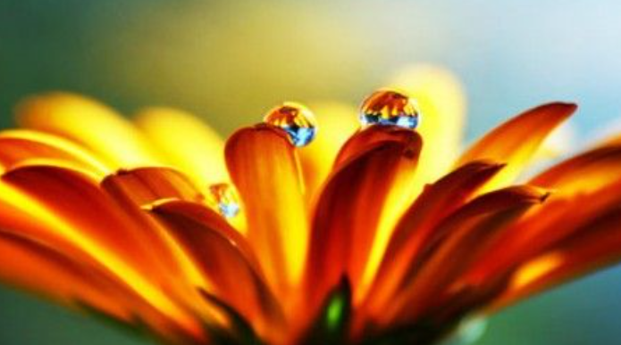 见微知著什么意思