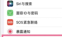 苹果14pro在哪里看电池健康状况