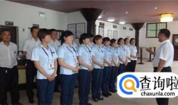 教大家一个完整早会流程