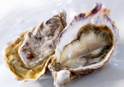 耗油是不是海鲜做成的