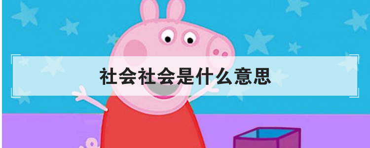 社会社会是什么意思