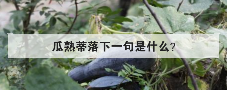 瓜熟蒂落下一句是什么