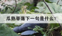 瓜熟蒂落下一句是什么