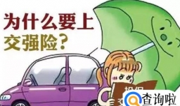 交强险没交会怎么样，交强险交多少钱