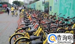 哈罗单车进入市场时机恰当吗？