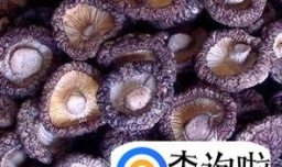 好吃的三鲜素菜包