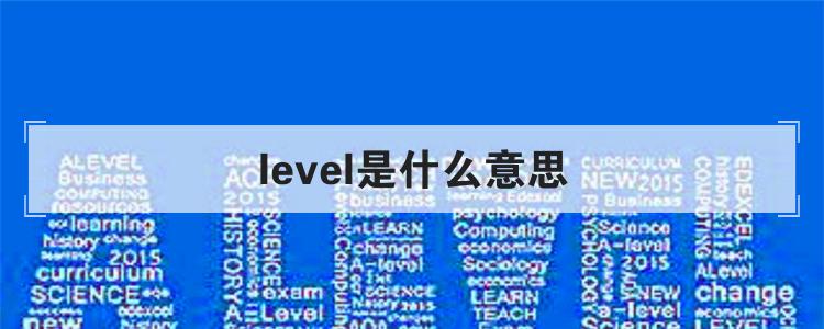 level是什么意思