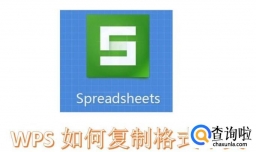 ＷＰＳ如何复制格式不变