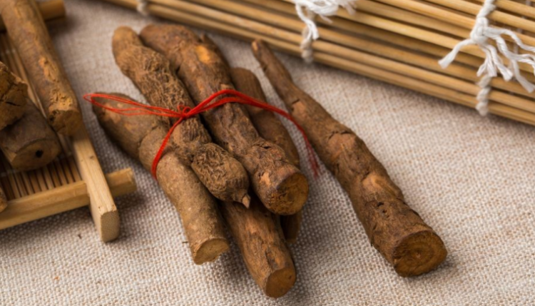 乌药的功效与作用