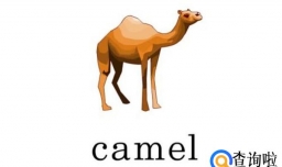 怎么过英语四级/四级分数分配