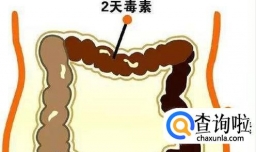 长期便秘对身体会造成哪些影响？