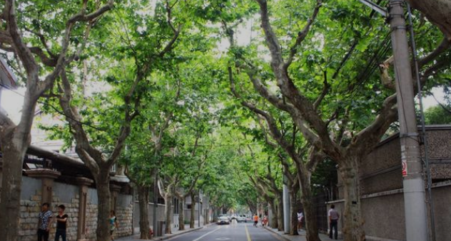 上海十大必游景点