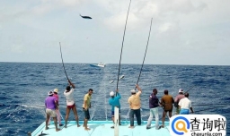 如何选择一个好的钓位