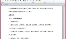 怎样用word做小抄