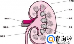 长期服用降糖药的危害