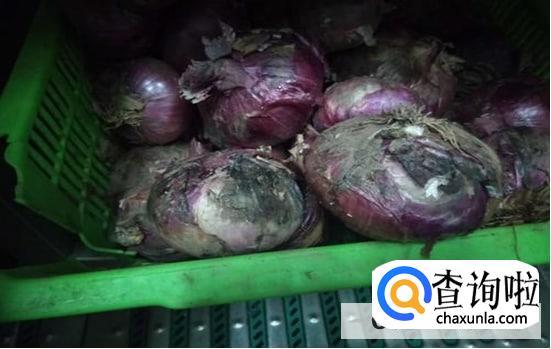 怎么判断洋葱有没有坏的方法