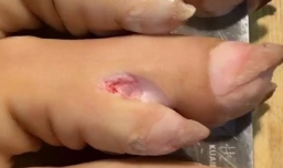 腐乳猪蹄怎么做