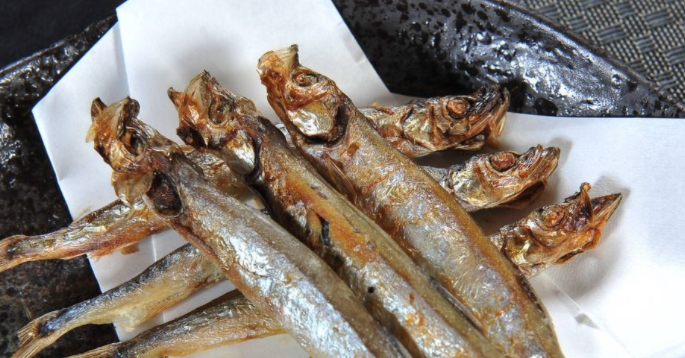 多春鱼是什么鱼