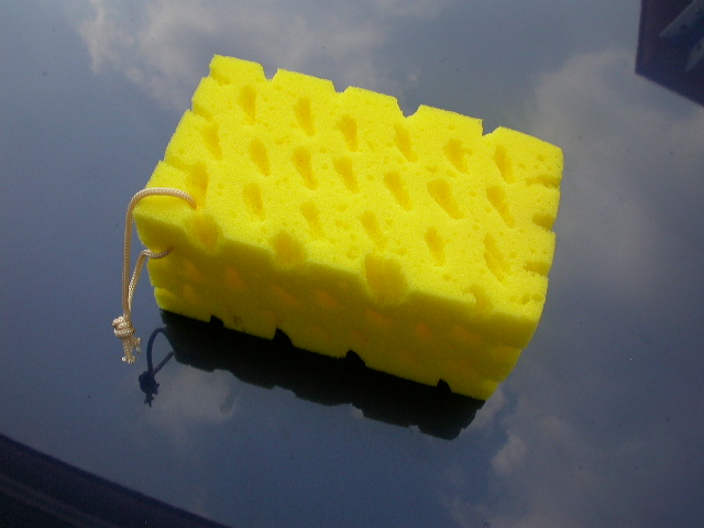 海绵可以被什么溶解