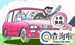 六年免检就不用进行年检了吗
