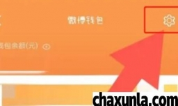 微博钱包的交易记录如何查询