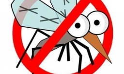 驱蚊产品 如何选择