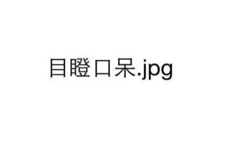 jpg是什么意思